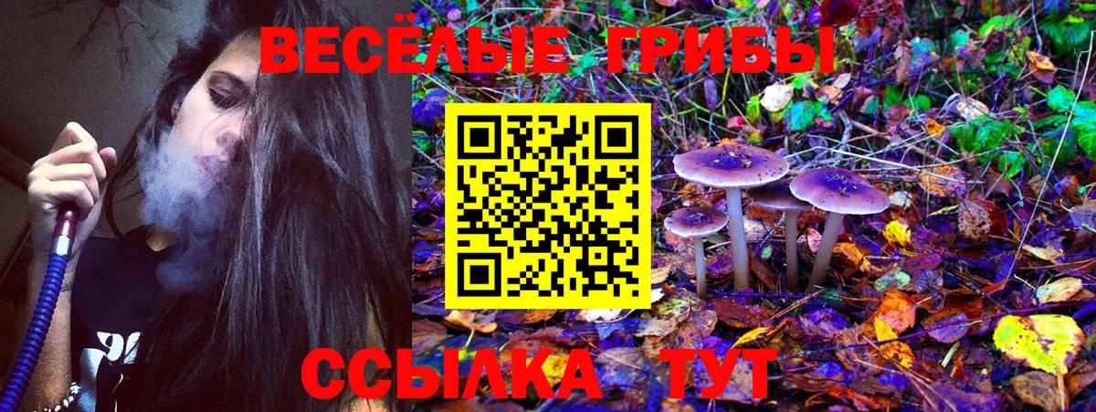 закладки  Псилоцибиновые грибы MAGIC MUSHROOMS  Вход с VPN  Галлюциногенные грибы прущие грибы  Павловский Посад 