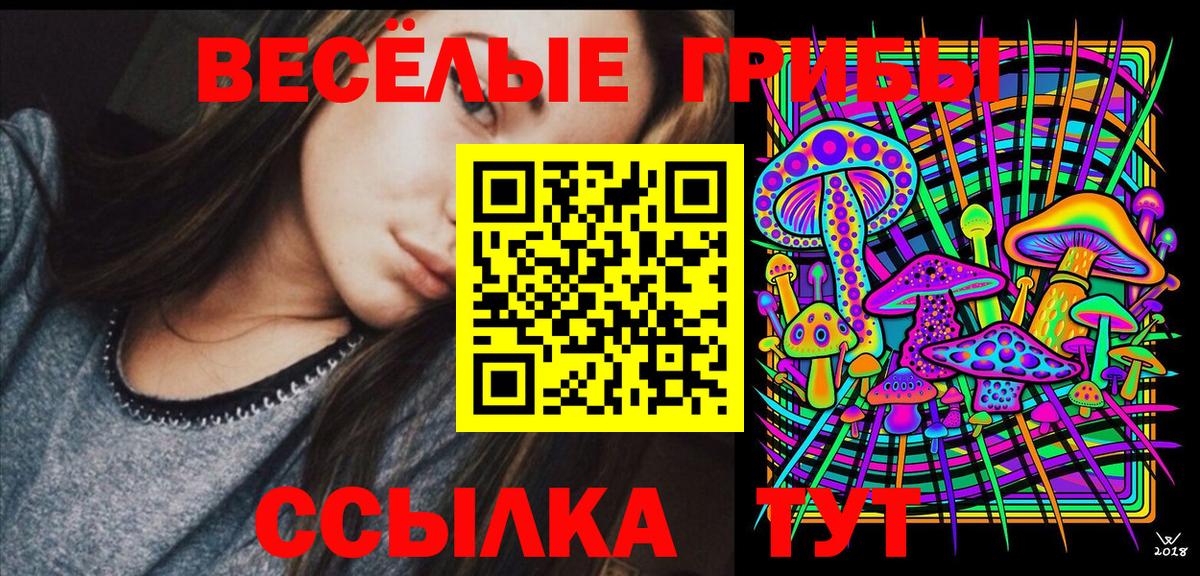 Галлюциногенные грибы MAGIC MUSHROOMS Павловский Посад